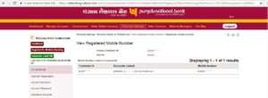 How to View Registered Mobile Number in PNB Account?