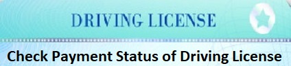 Check Payment Status of Driving License Online