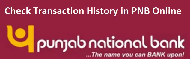 Check Transaction History in PNB Online