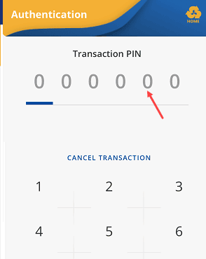 Enter Transaction Password